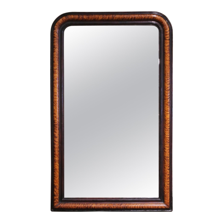 19th Century French Louis Philippe Burl Walnut Wall Mirror with Ebonized Trim